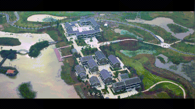 濕地7.gif