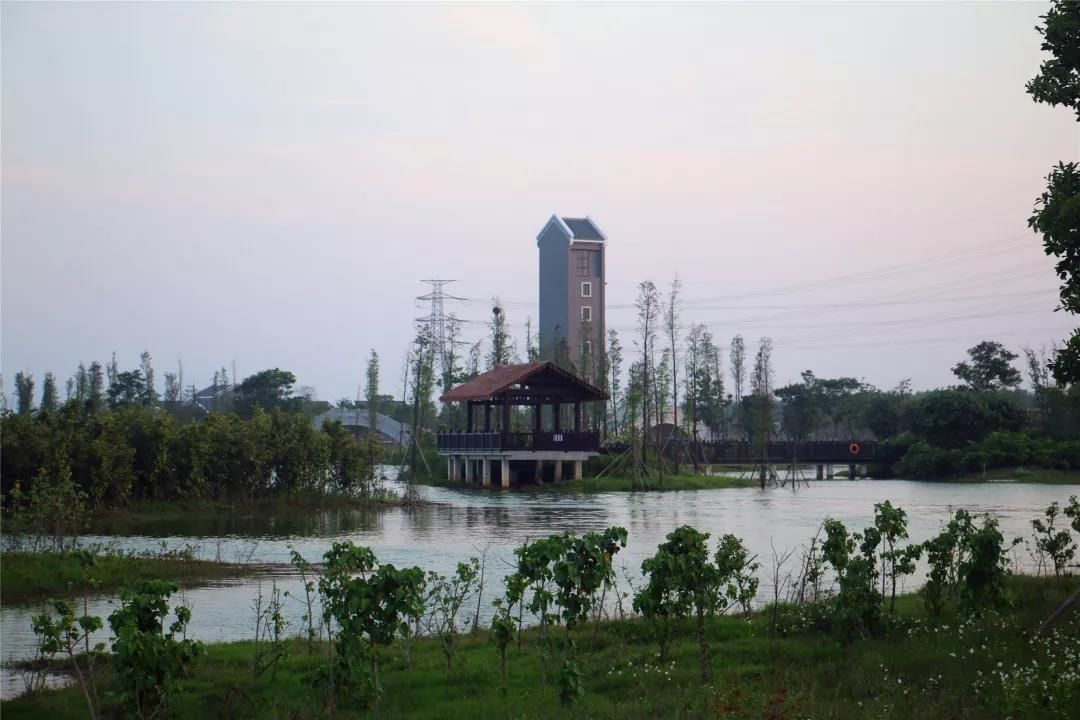 濕地8.jpg