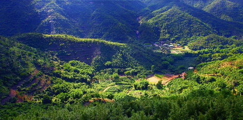 微信圖片_20200805105059_調(diào)整大小.jpg