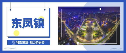 東鳳鎮(zhèn)_調(diào)整大小.jpg