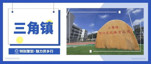 三角_調(diào)整大小.jpg