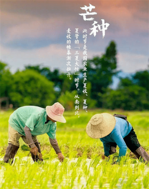 微信圖片_20220608155623.png