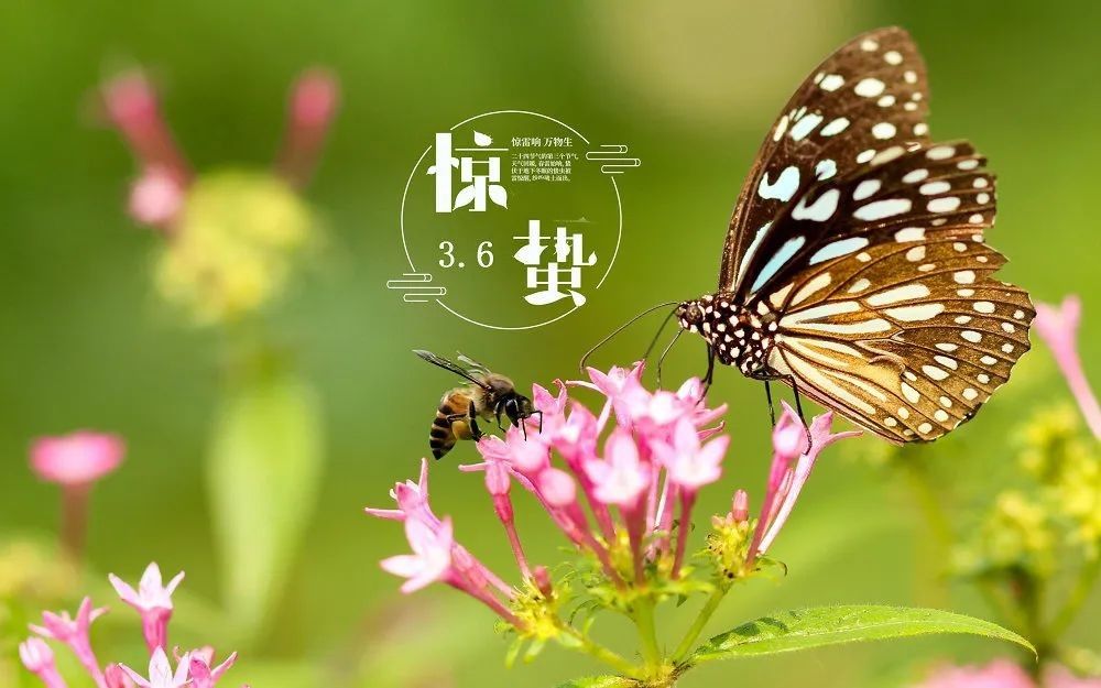 微信圖片_20230308165542.jpg
