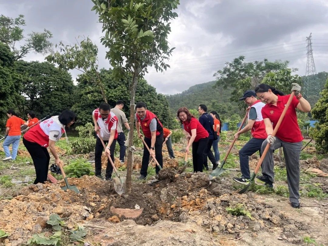 640 (1).webp (3).jpg