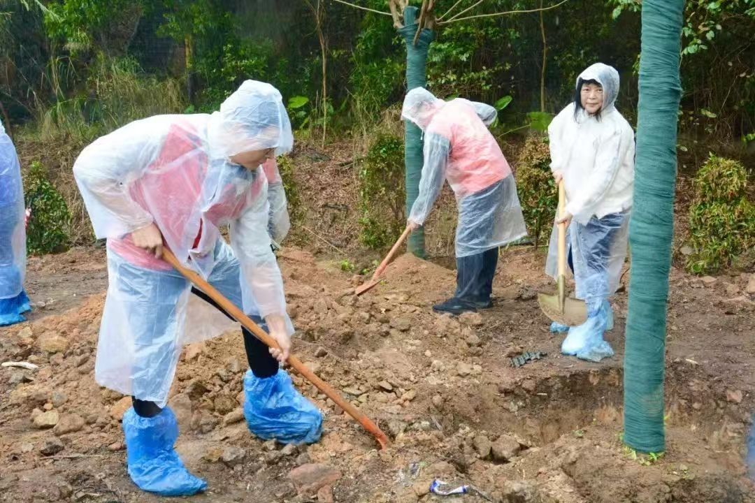 _cgi-bin_mmwebwx-bin_webwxgetmsgimg__&MsgID=871149