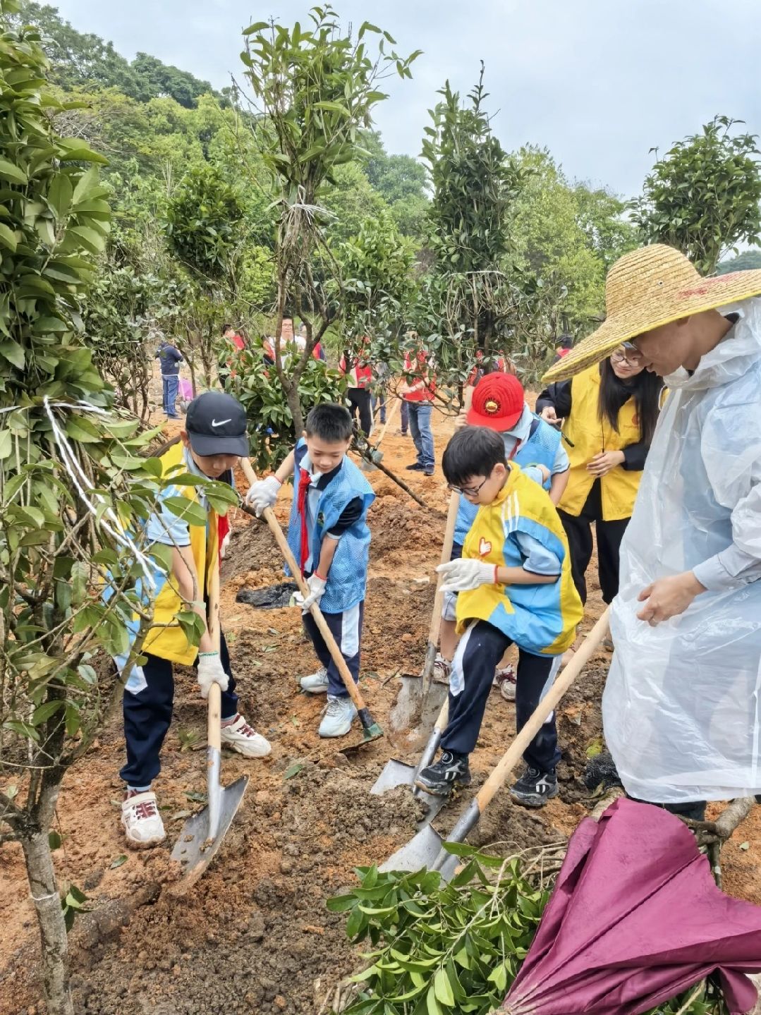 _cgi-bin_mmwebwx-bin_webwxgetmsgimg__&MsgID=677291